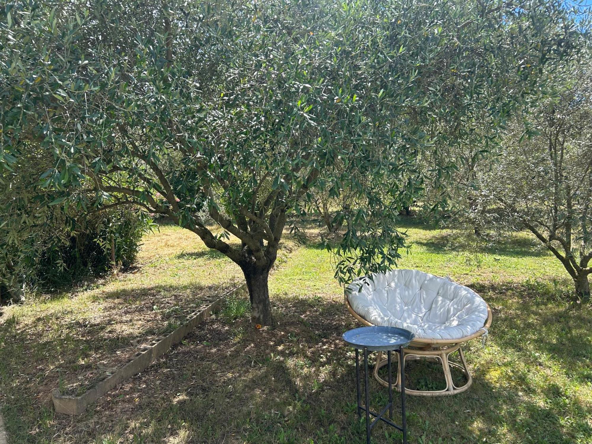 Sous Les Etoiles En Provence, Gite Les Grands Chenes Lurs Exterior foto